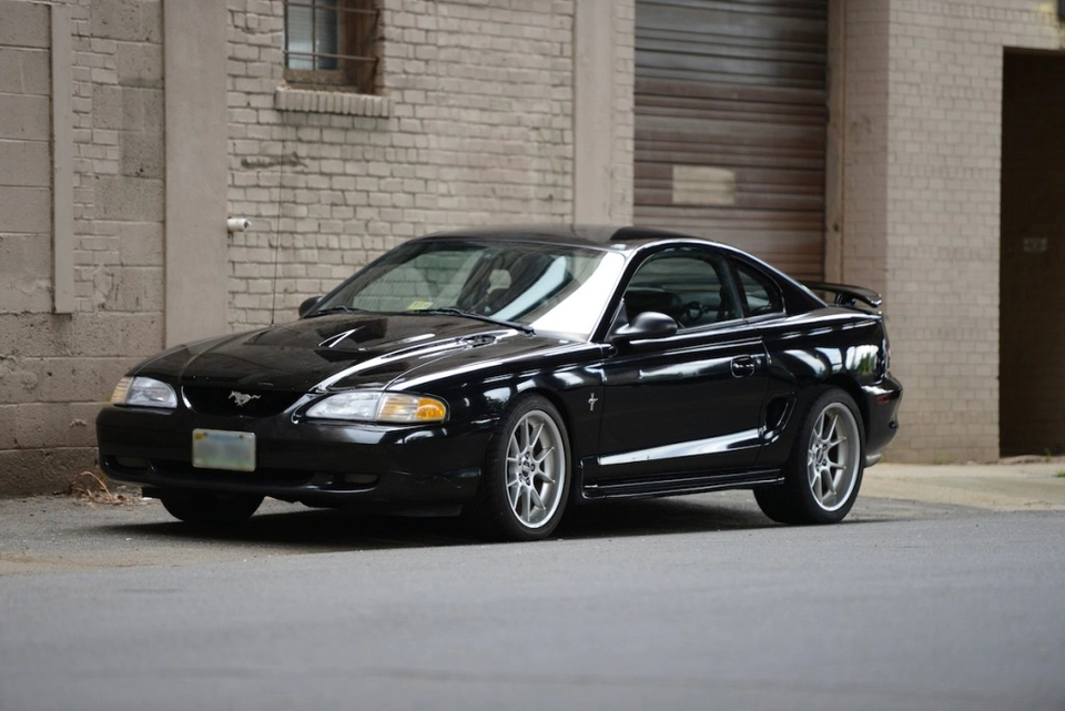 DSC_1116.webp
