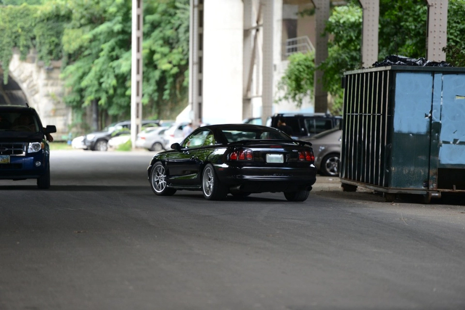 DSC_1119.webp