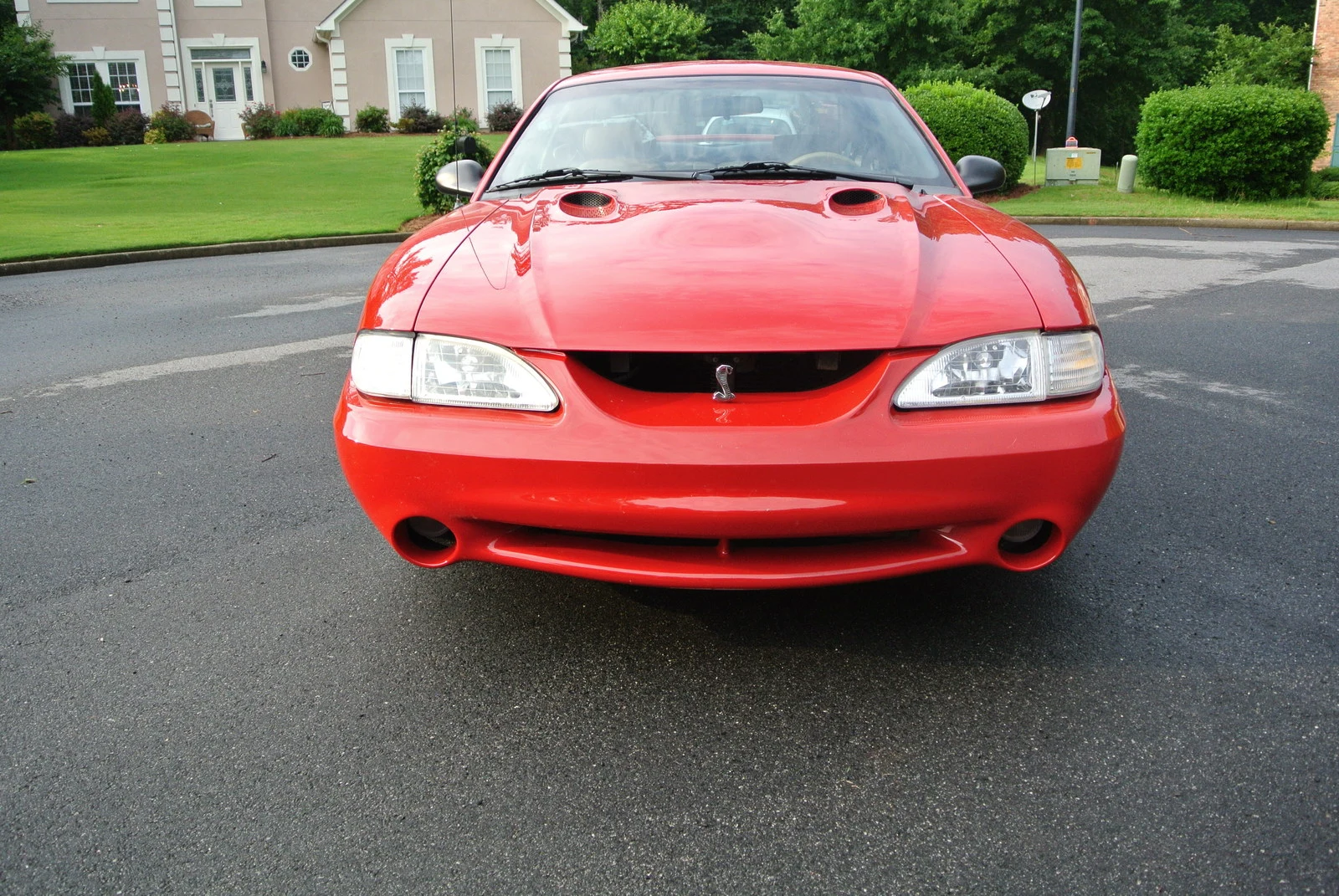 DSC_1233.webp