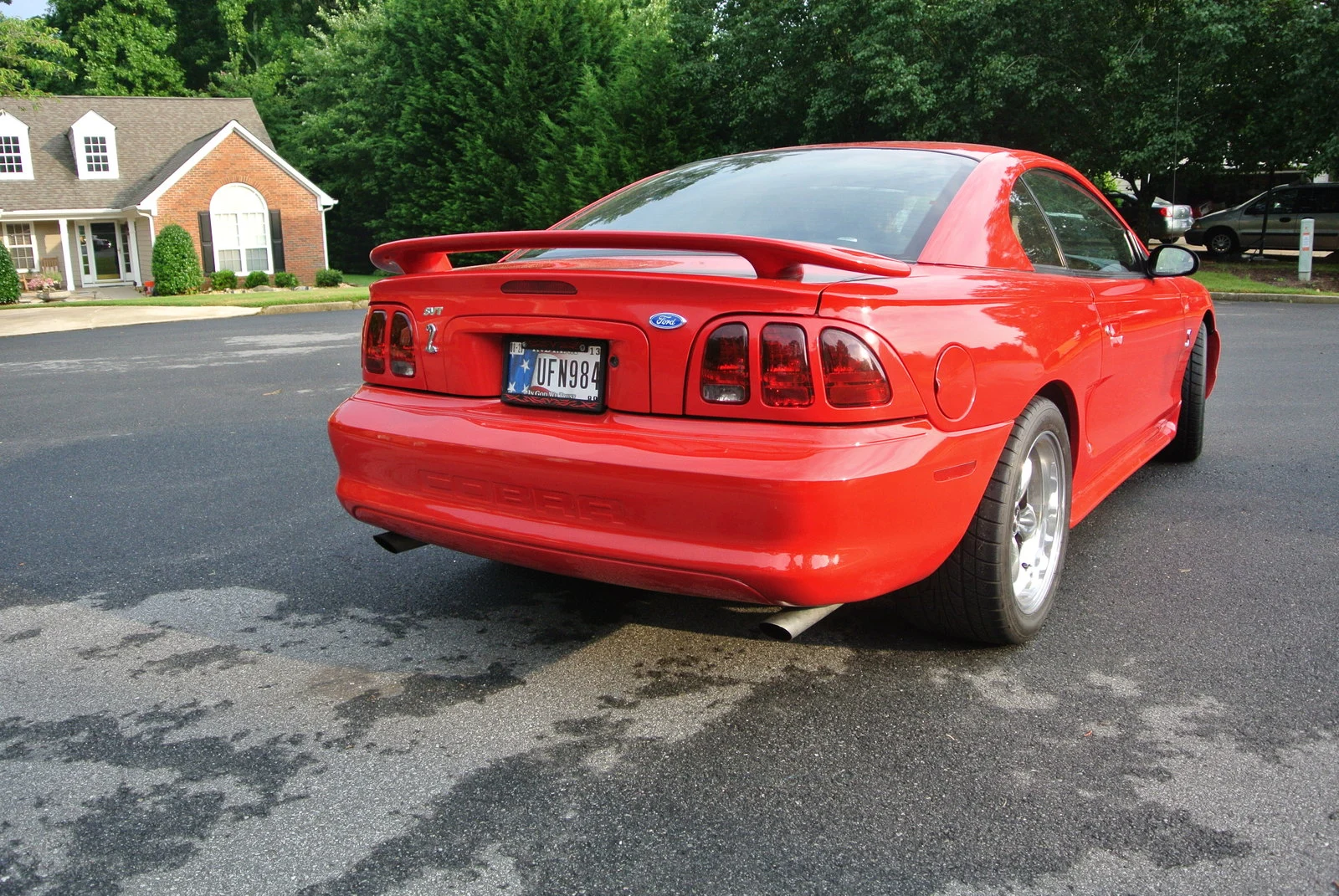 DSC_1243.webp