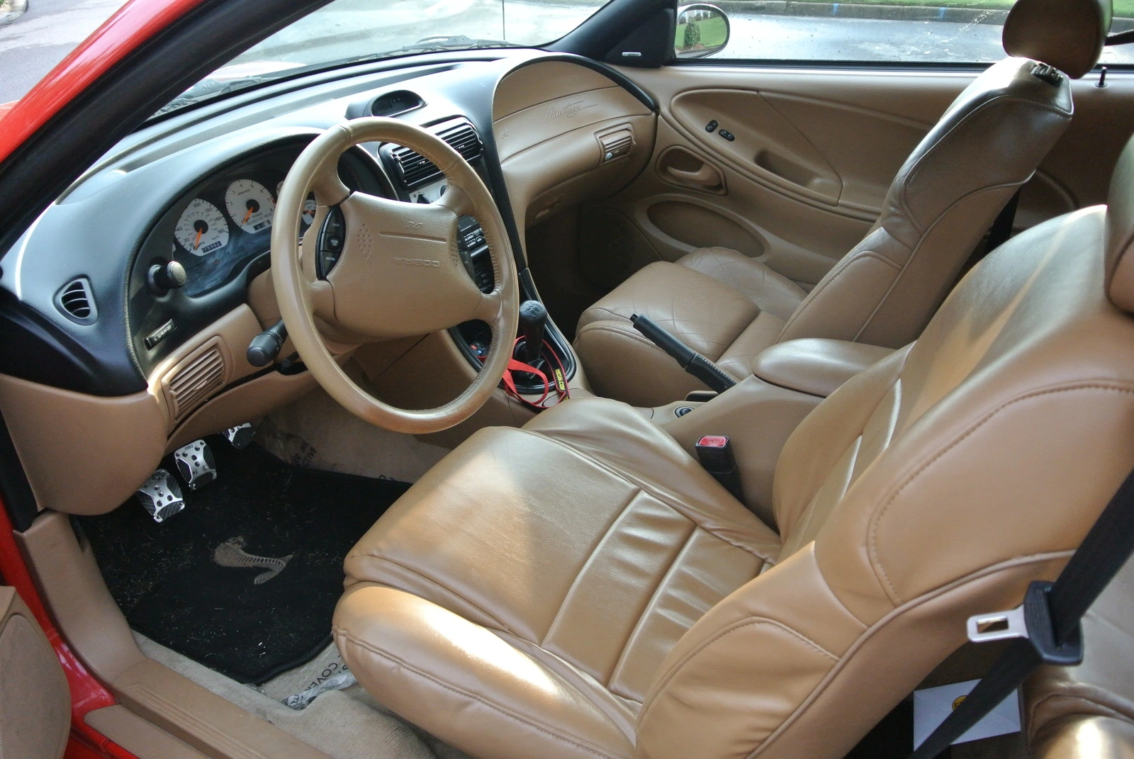 DSC_1258.webp