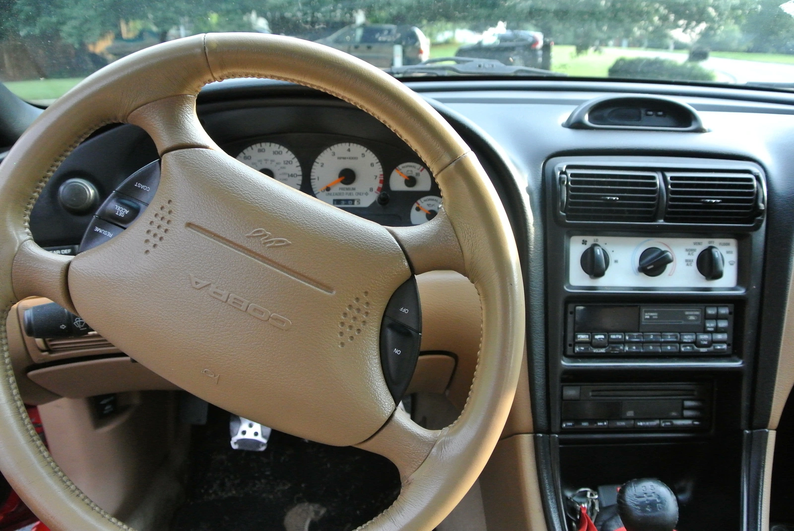 DSC_1263.webp