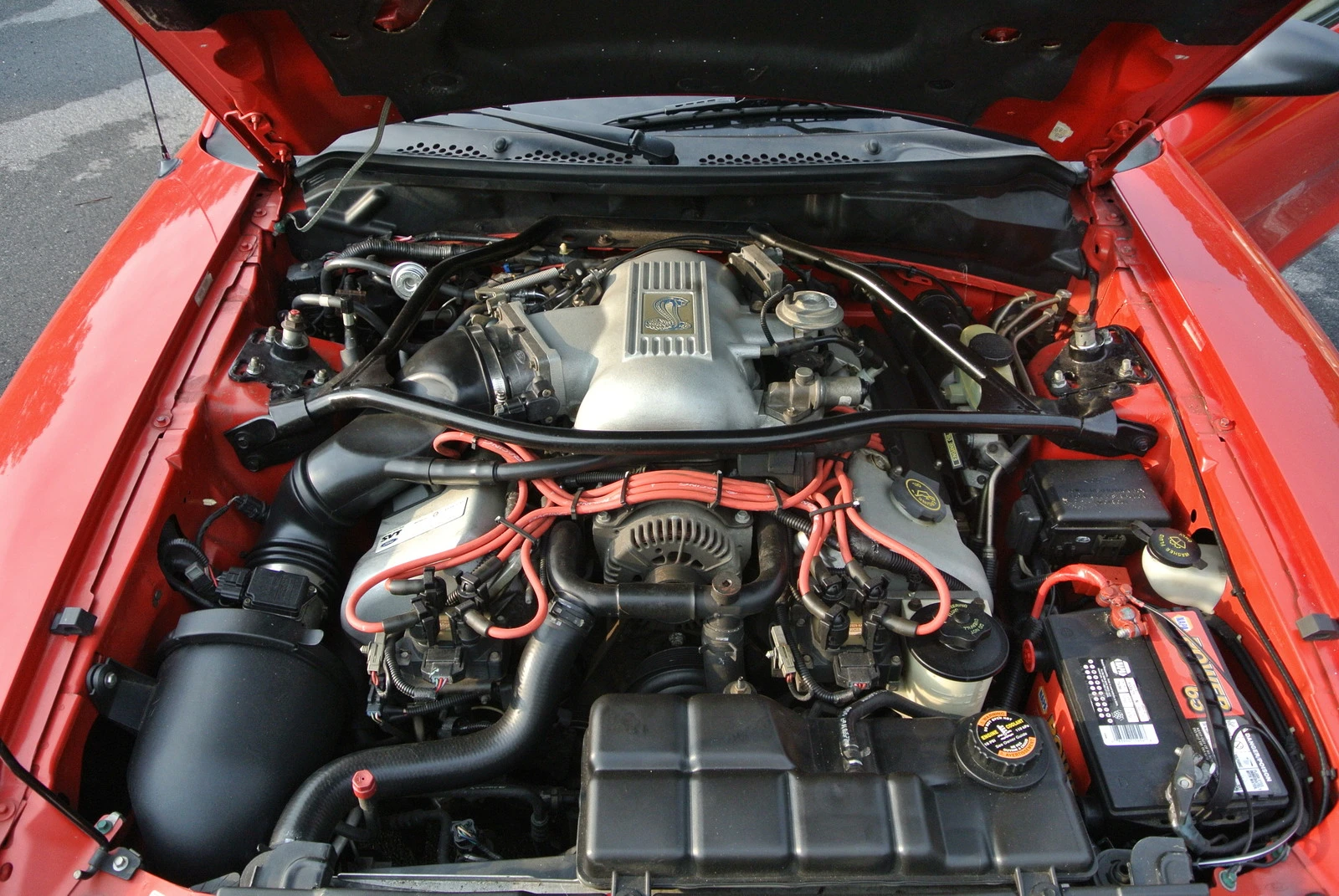 DSC_1273.webp