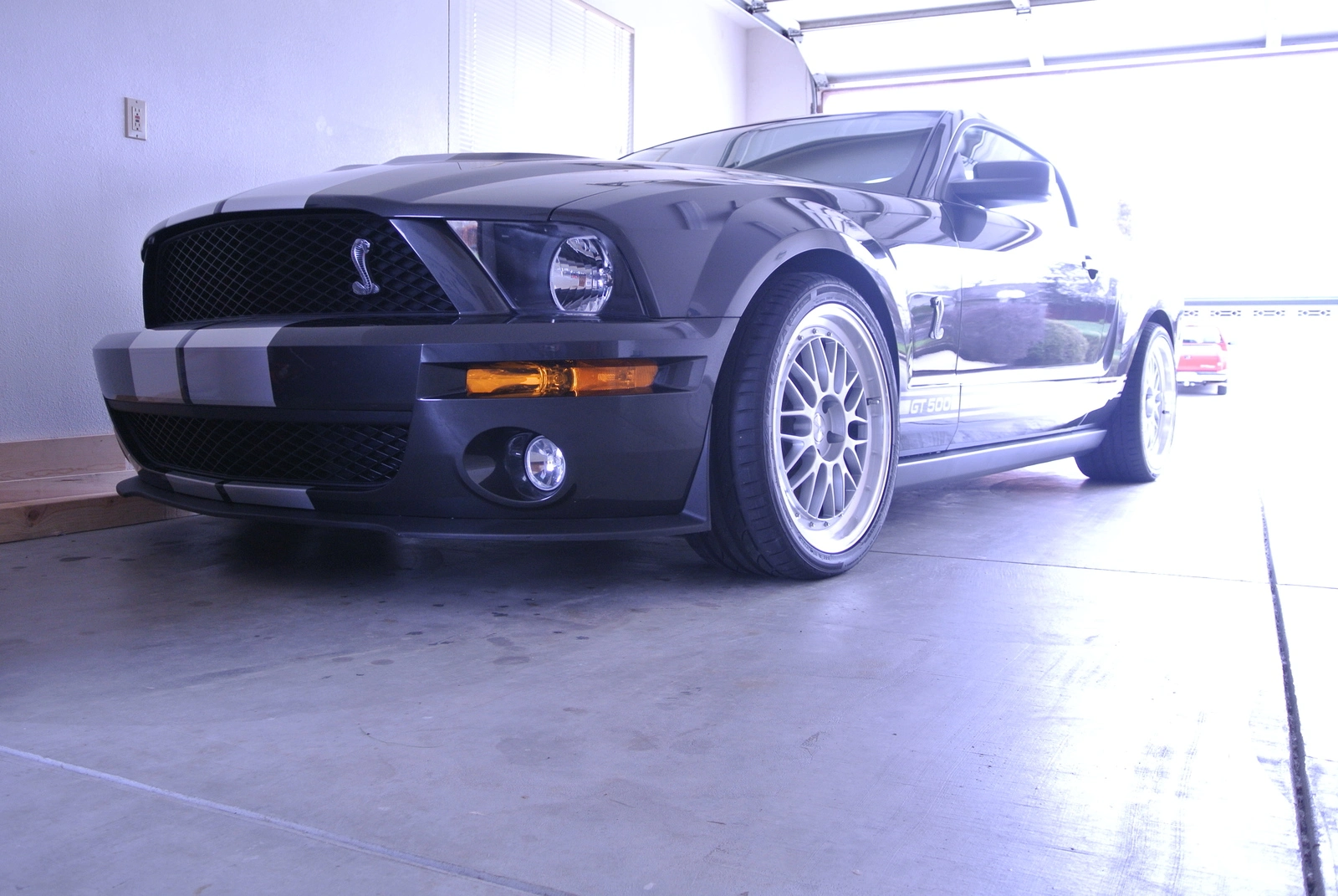 DSC_2426.webp