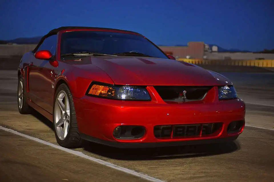 DSC_2502.webp