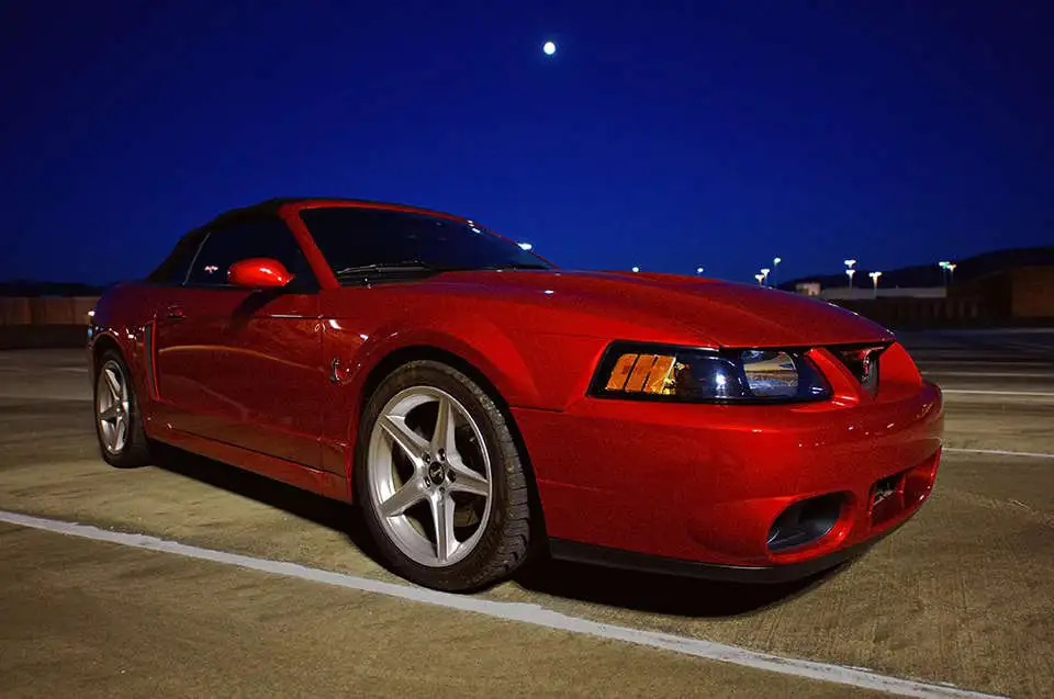 DSC_2518.webp