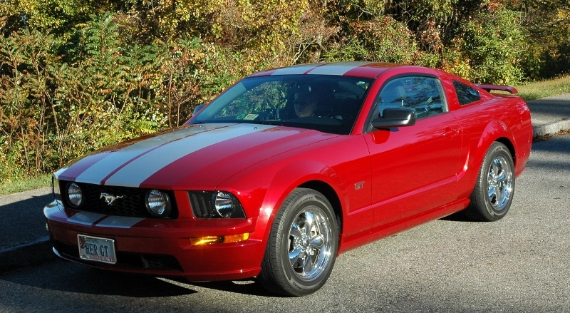 DSC_2521800x439_zps02150d88.webp