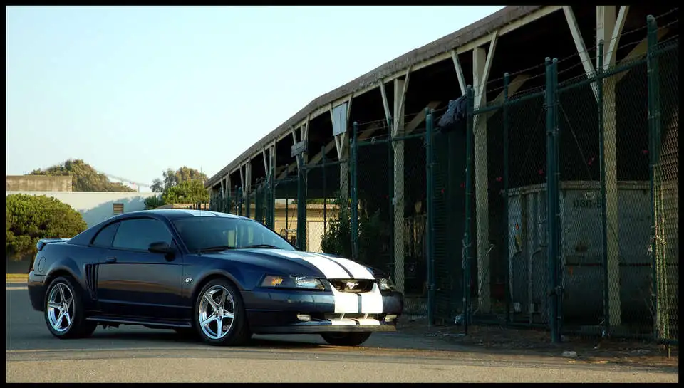 DSC_3198.webp