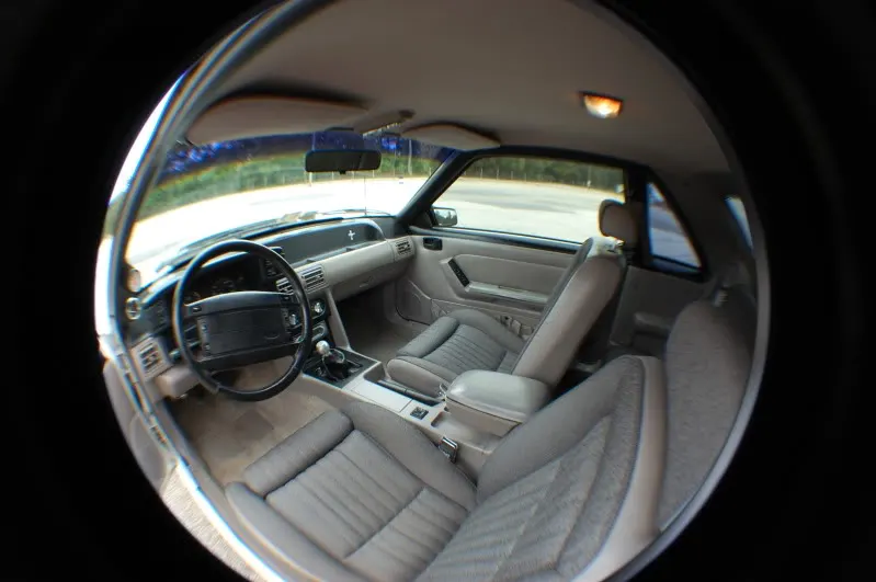 DSC_3727.webp