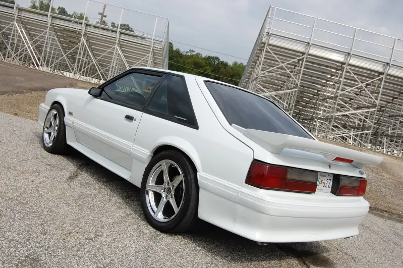 DSC_3732.webp