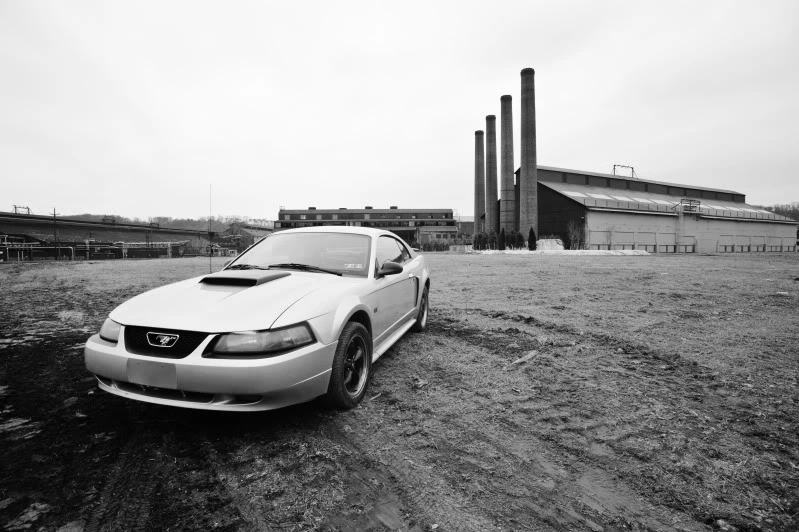 DSC_3765-4.webp