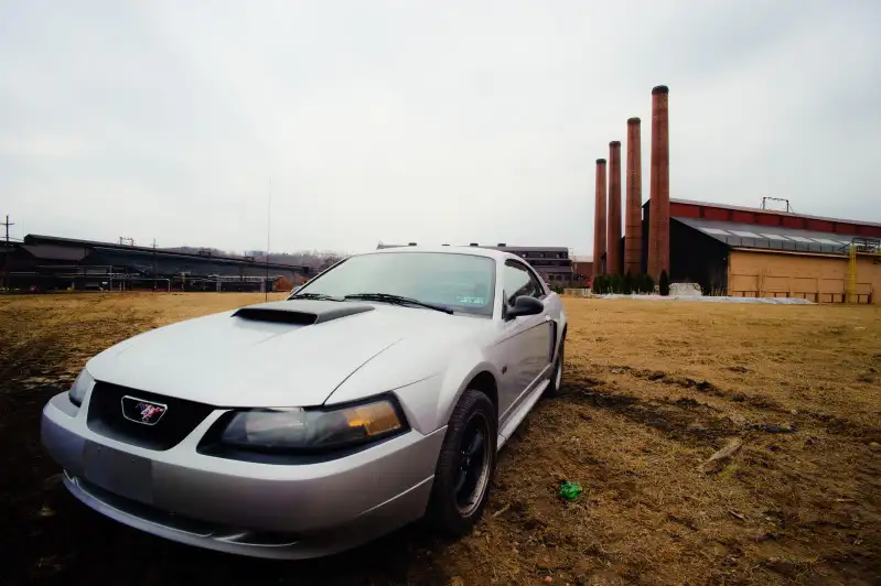 DSC_3766-5.webp