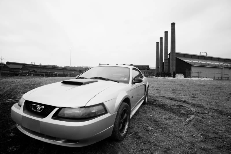 DSC_3766-6.webp