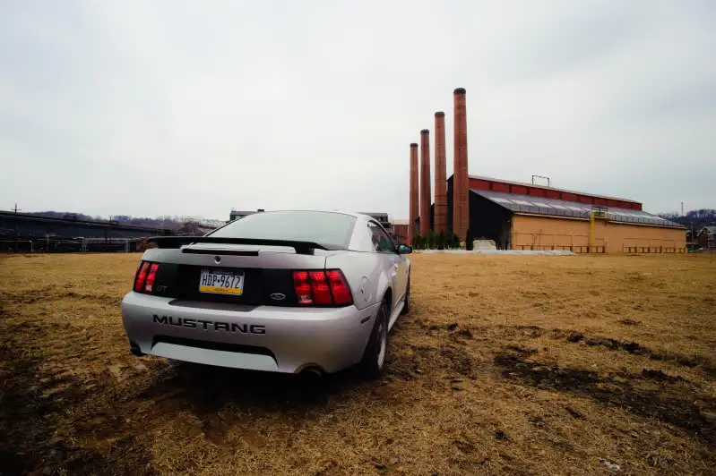 DSC_3767-7.webp