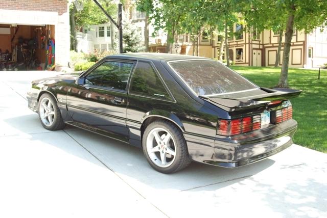 DSC_5570.webp