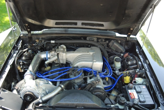 DSC_5590.webp