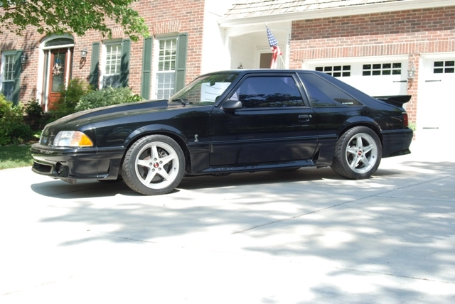DSC_5595.webp