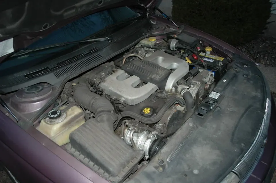 DSC_5718.webp