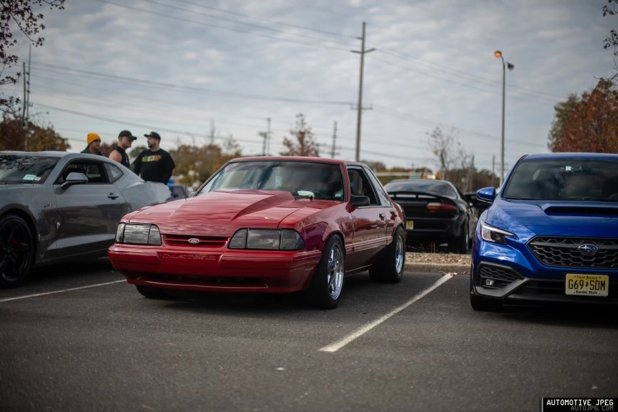 dsc_6011.webp