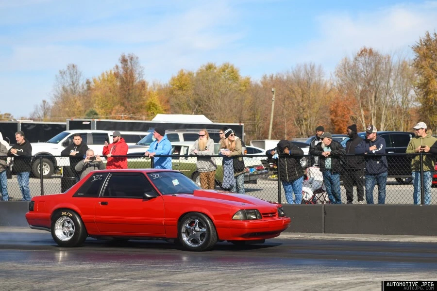 dsc_6353.webp