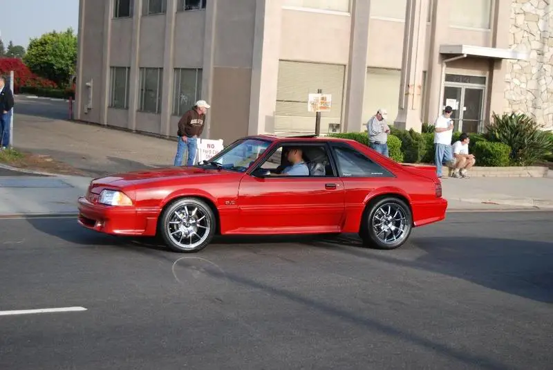 DSC_6481.webp