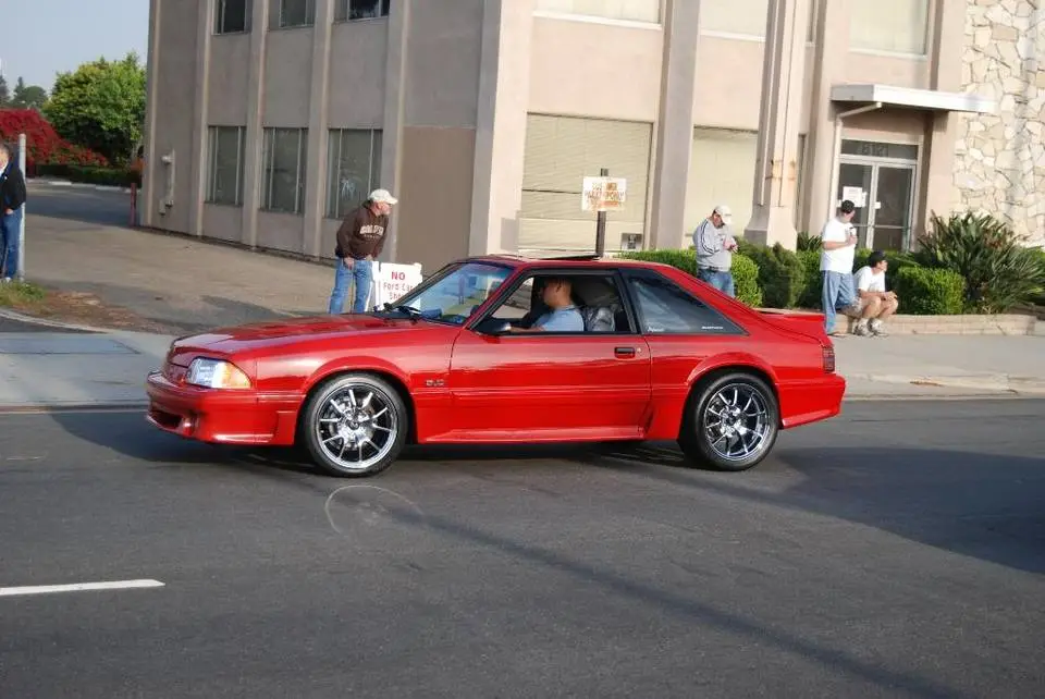 DSC_6481.webp