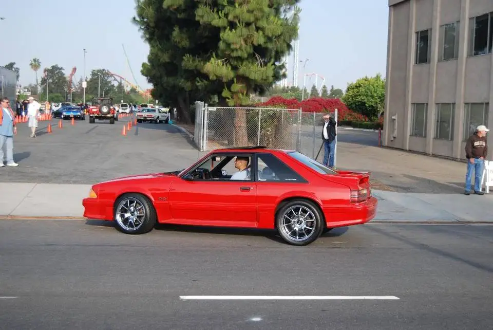 DSC_6482.webp