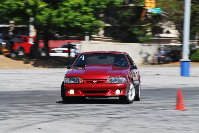 DSC_7743.webp