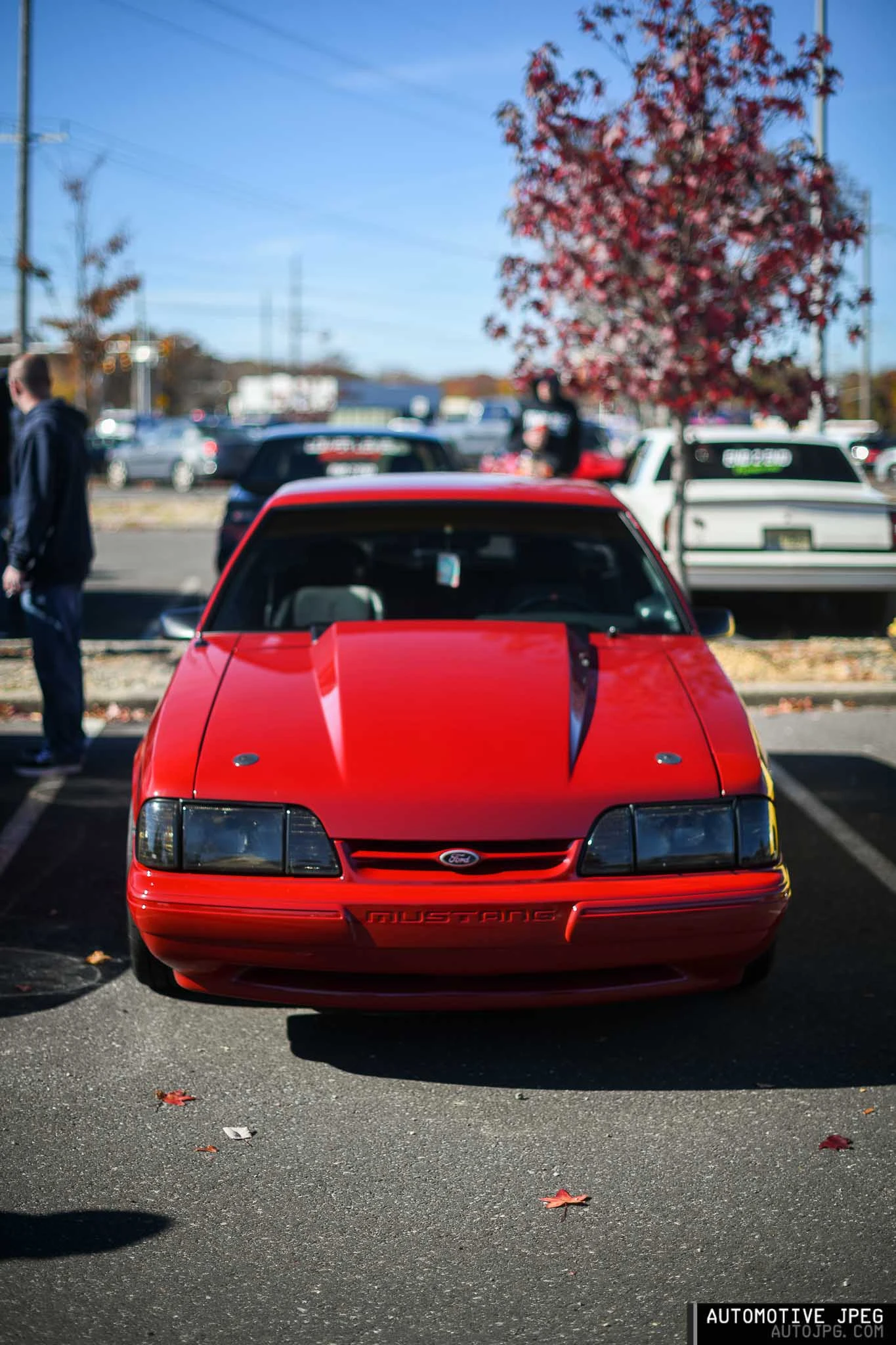 dsc_8785.webp
