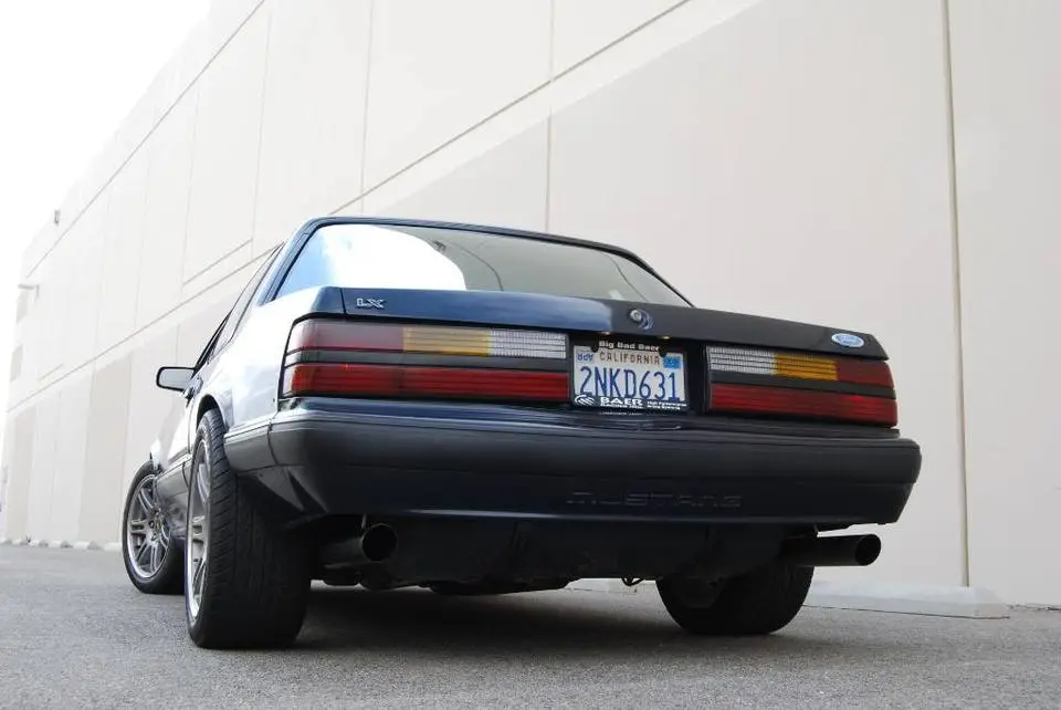 DSC_8833.webp