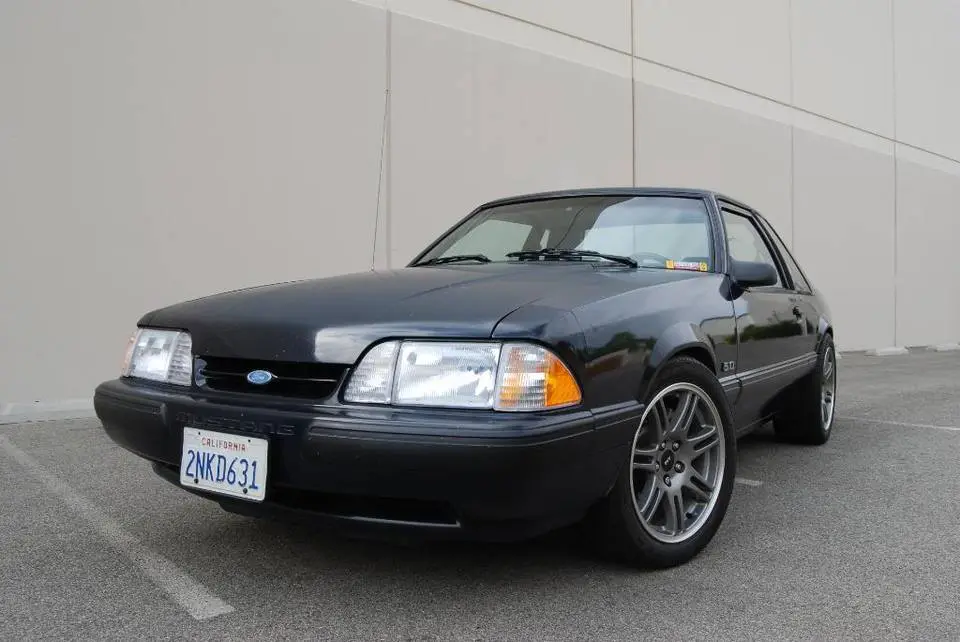 DSC_8838.webp