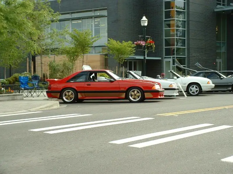 DSCF0004-3.webp