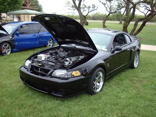 DSCF0004.webp