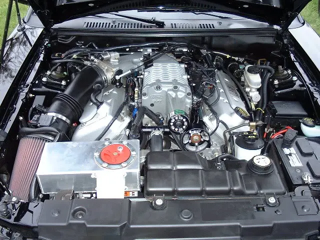 DSCF0012.webp