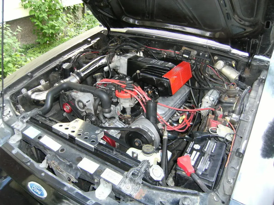 DSCF0024.webp