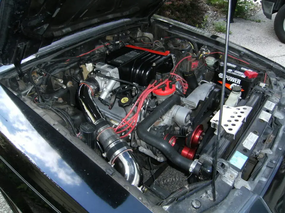 DSCF0025.webp