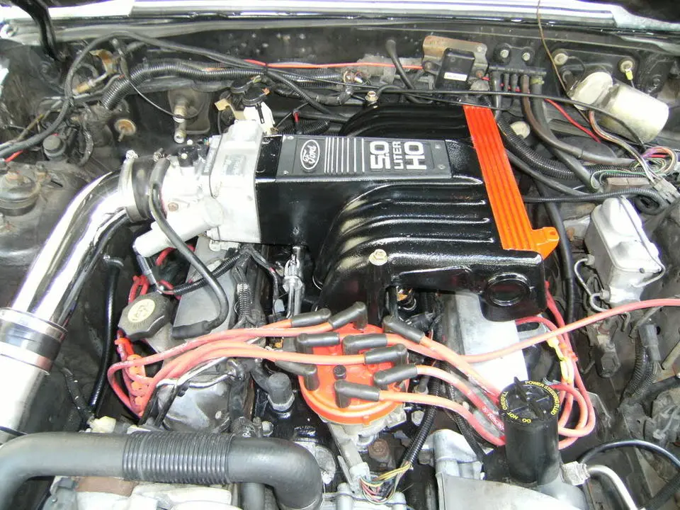 DSCF0026.webp