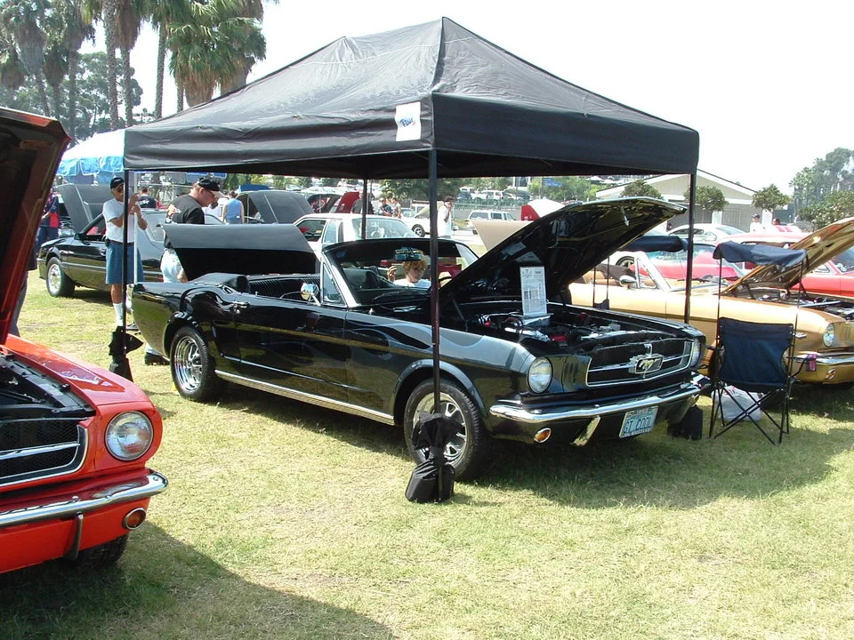 DSCF0067.webp