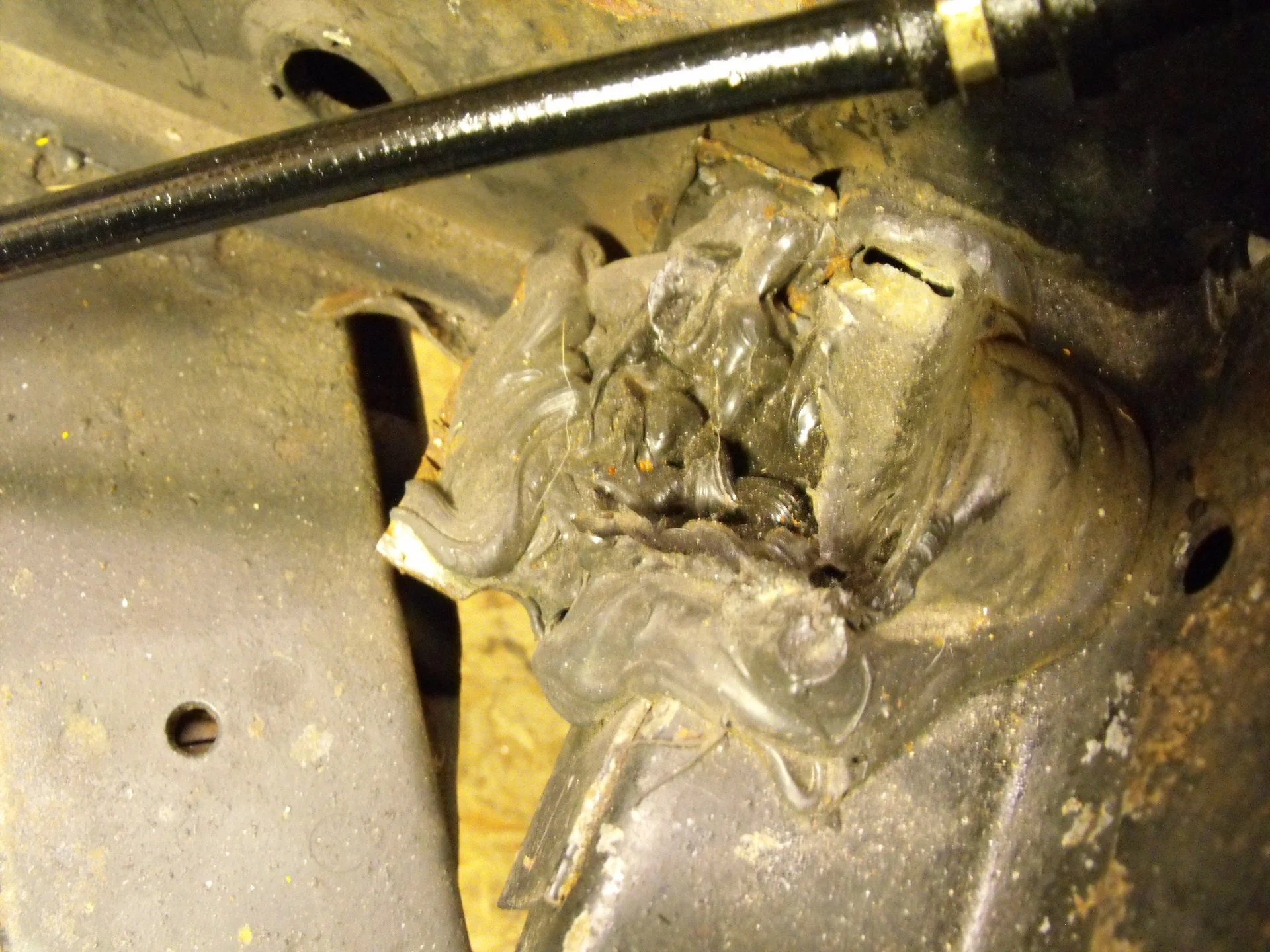 DSCF0089.webp