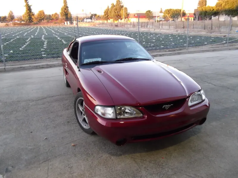 DSCF0113.webp