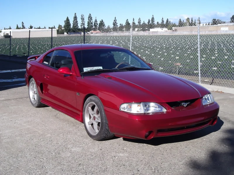 DSCF0124.webp