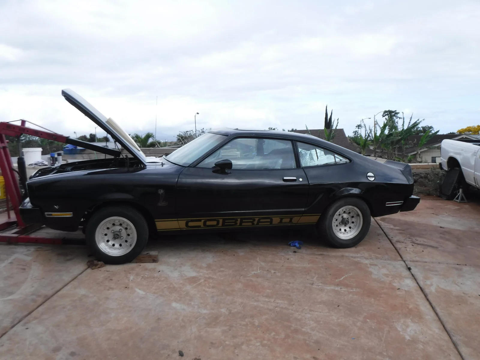 DSCF0124.webp