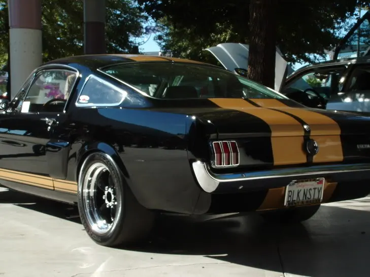 DSCF0140.webp