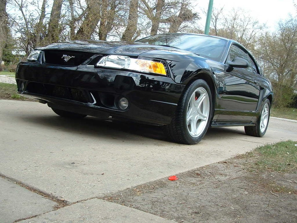 DSCF0149.webp