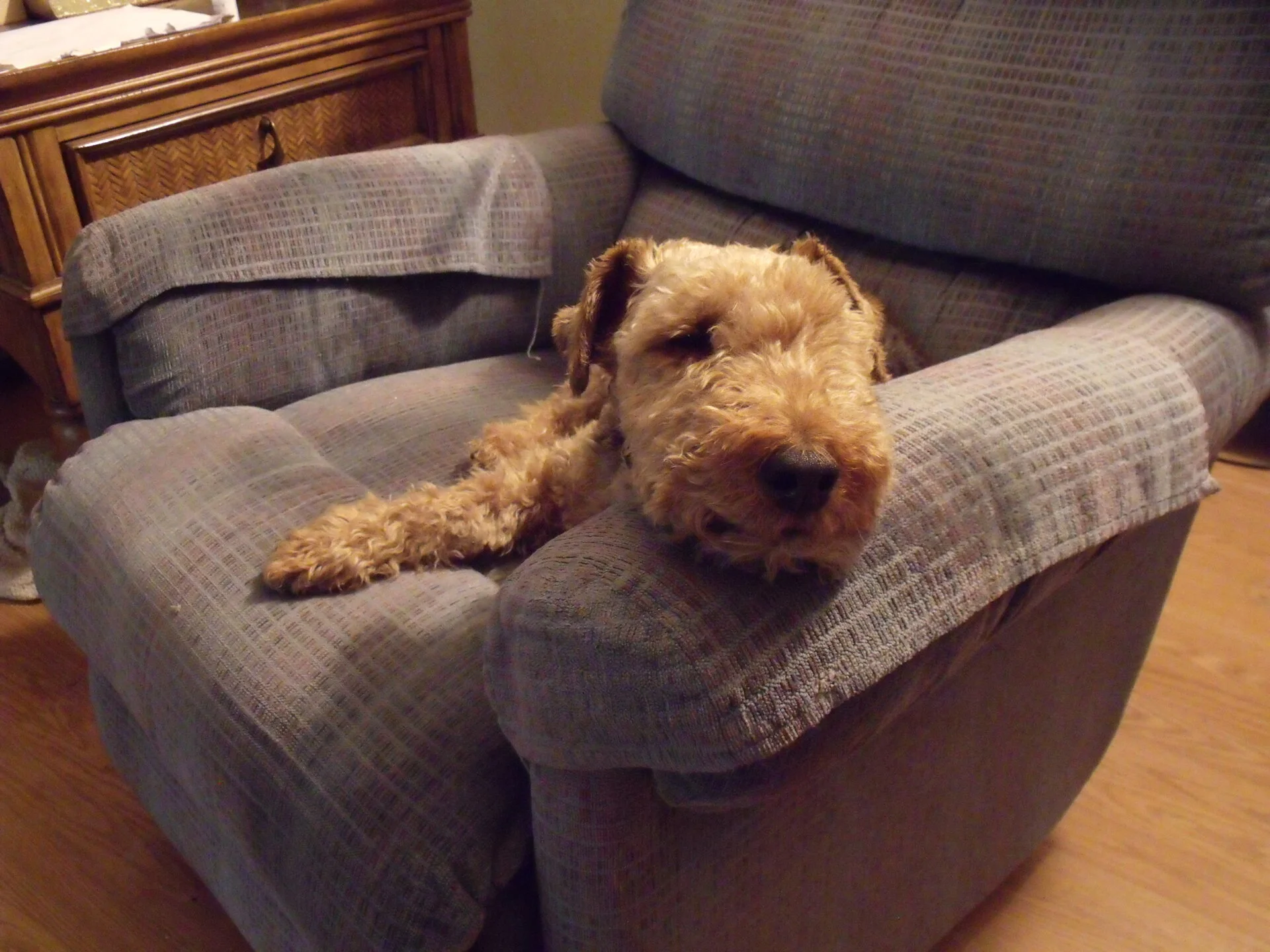 DSCF0163.webp
