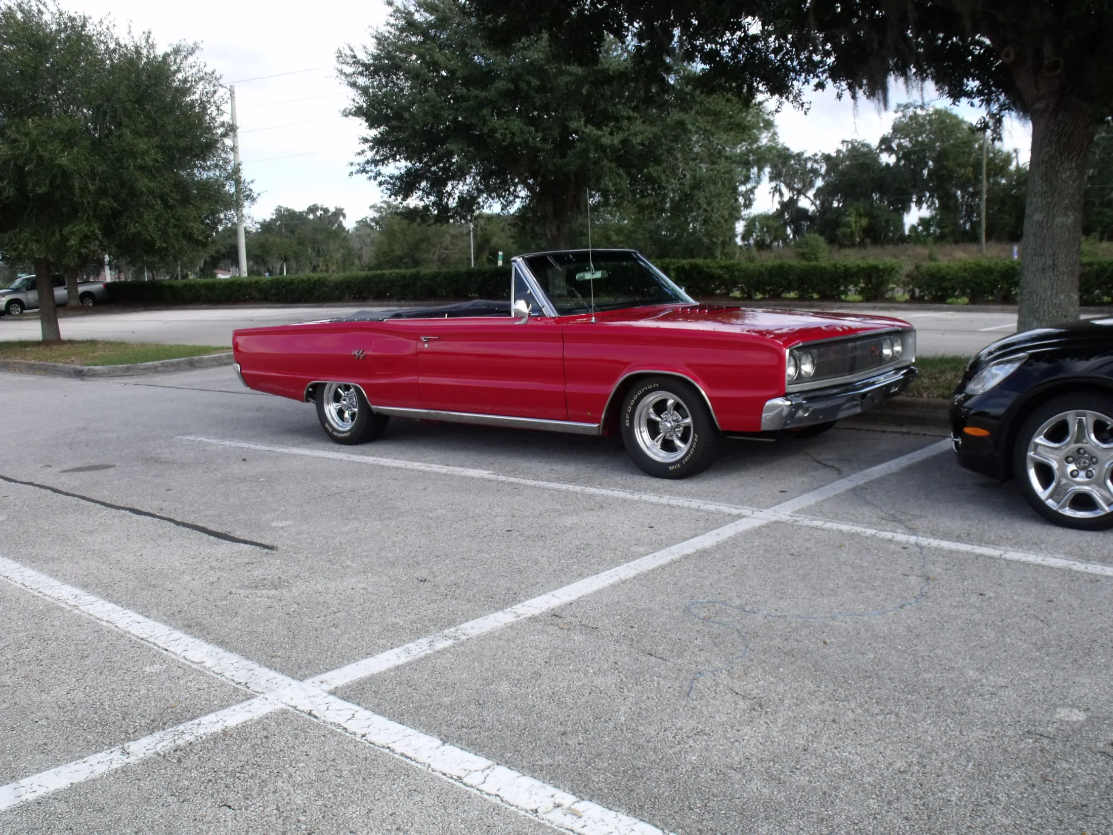 DSCF0189.webp