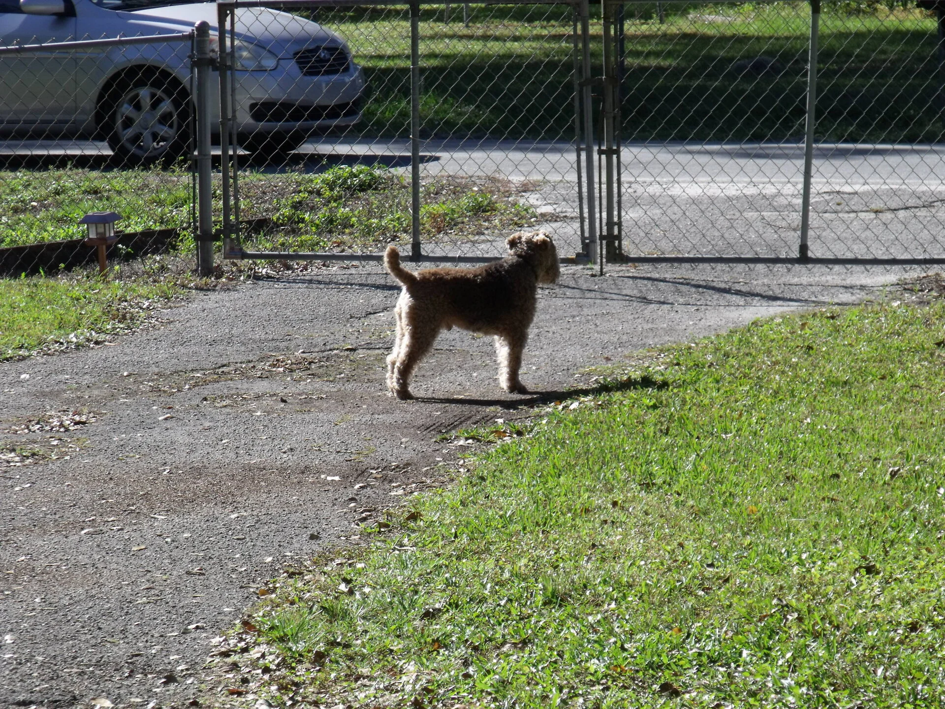 DSCF0206.webp
