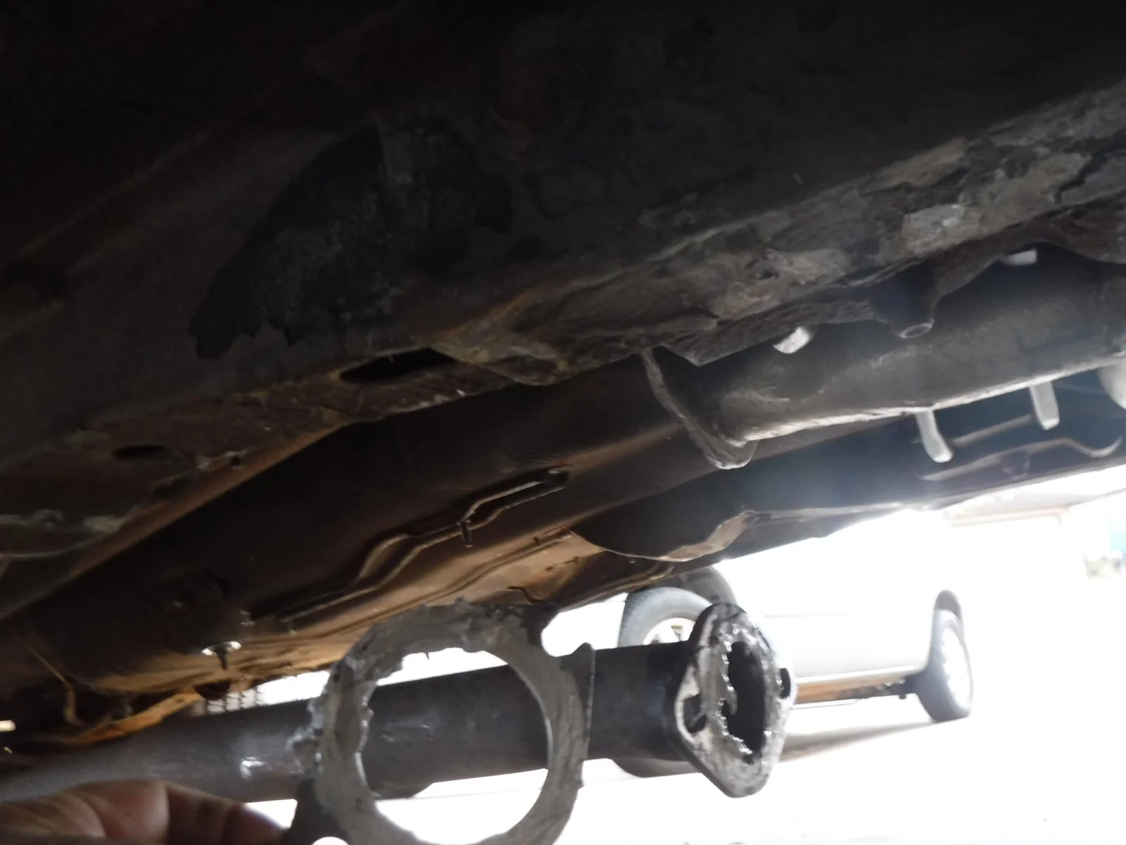 DSCF0221.webp