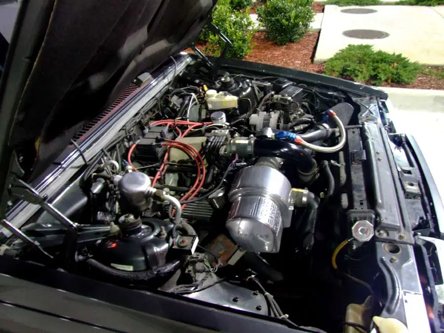 DSCF0221V6.webp
