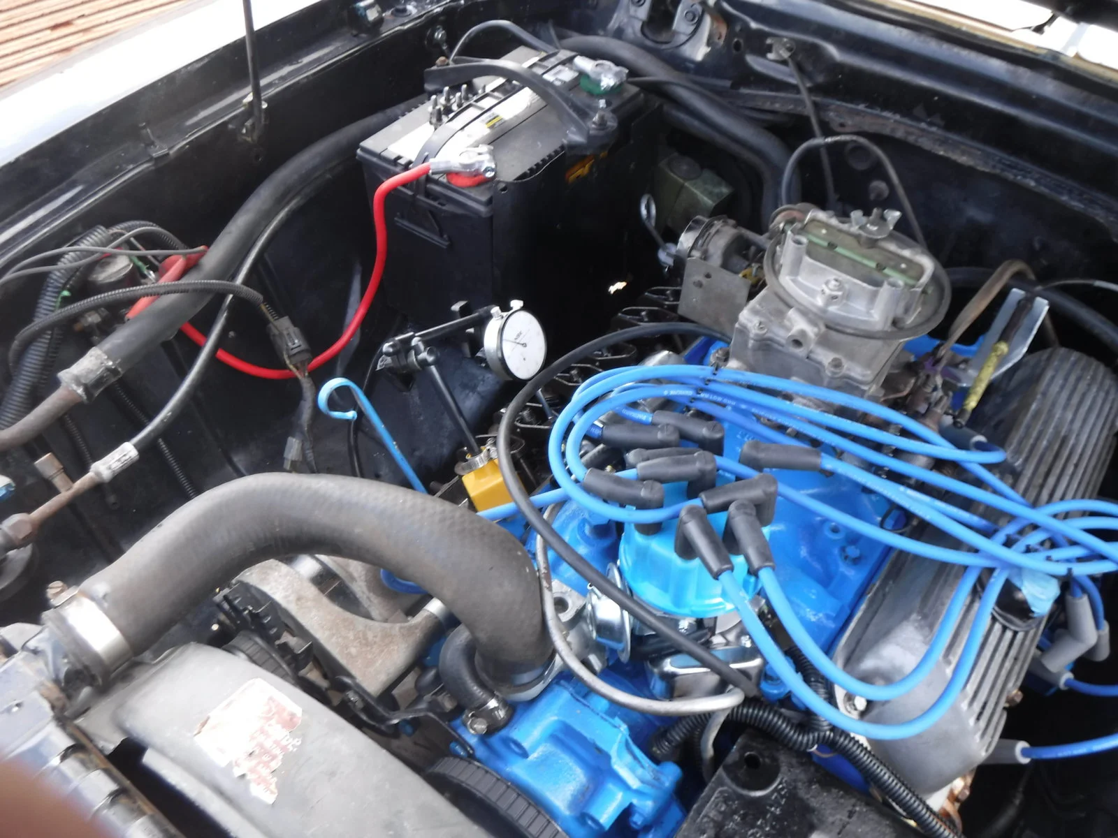 DSCF0237.webp
